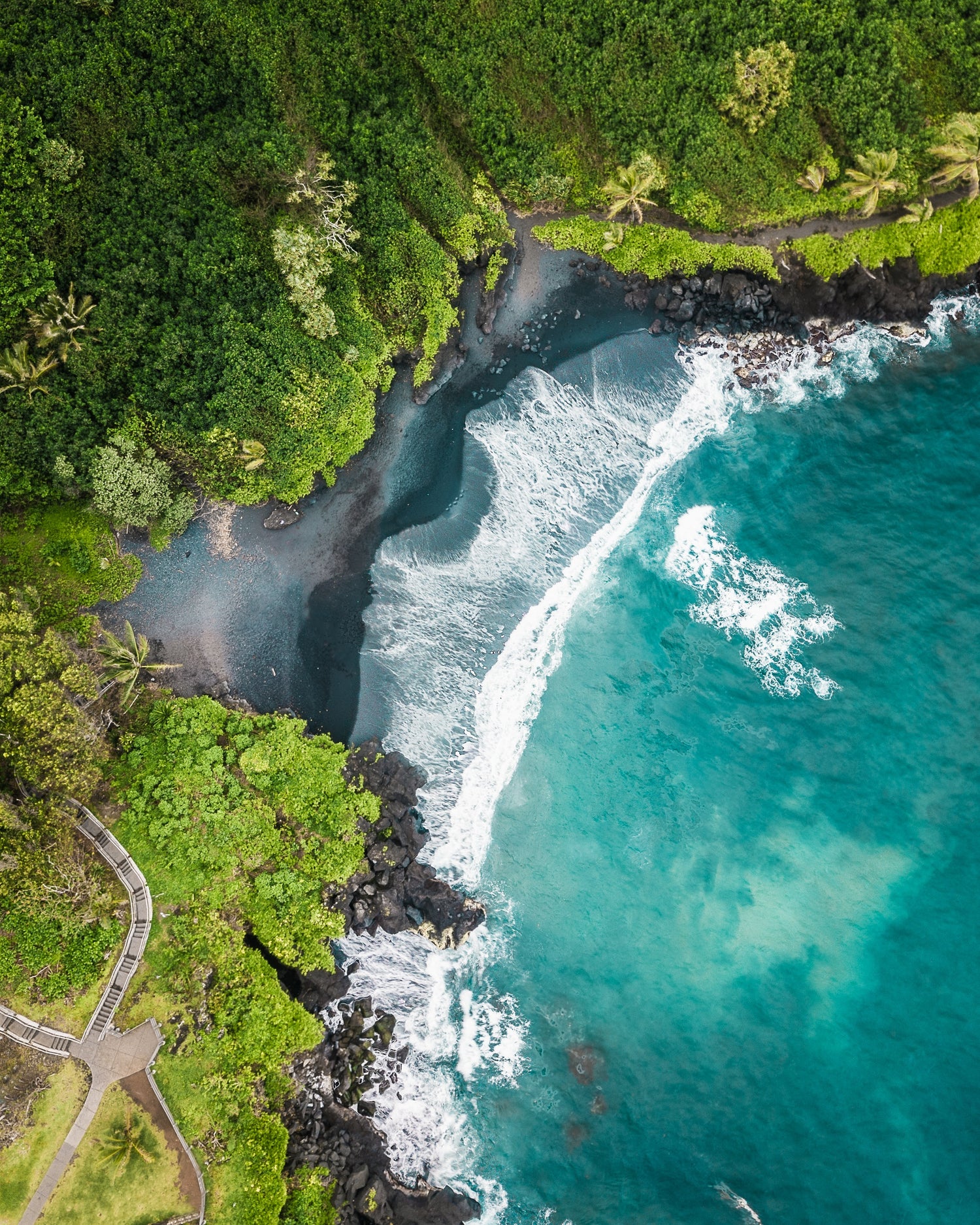 Media Vines Corp - seascape Kihei, Maui HI